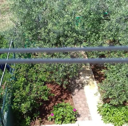 Bella Vista Park View