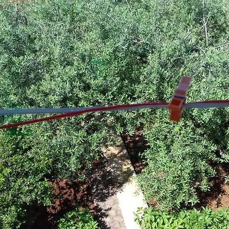 아파트 Bella Vista Park View 포레치