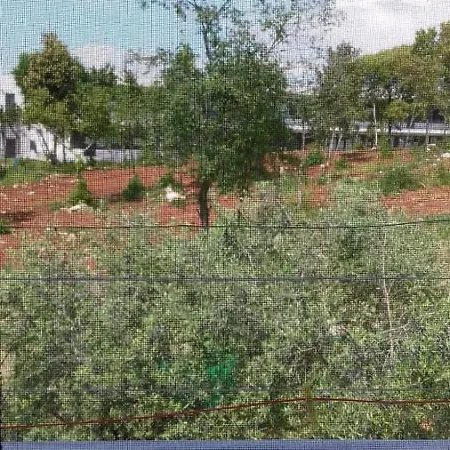 Bella Vista Park View *