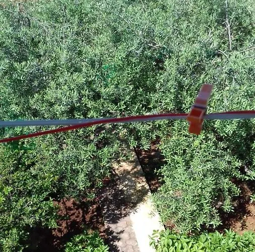 아파트 Bella Vista Park View 포레치